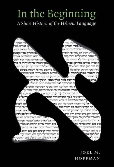 In the Beginning - Joel Hoffman