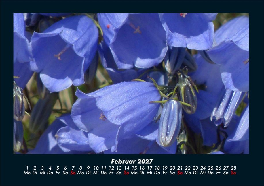 InsideView 6