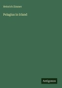 Cover-Bild zum Titel 'Pelagius in Irland' von 'Heinrich Zimmer'