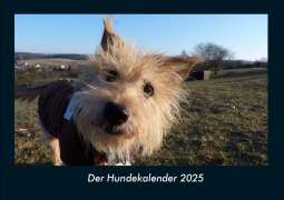 Cover-Bild zum Titel 'Der Hundekalender 2025 Fotokalender DIN A4' von 'Tobias Becker'