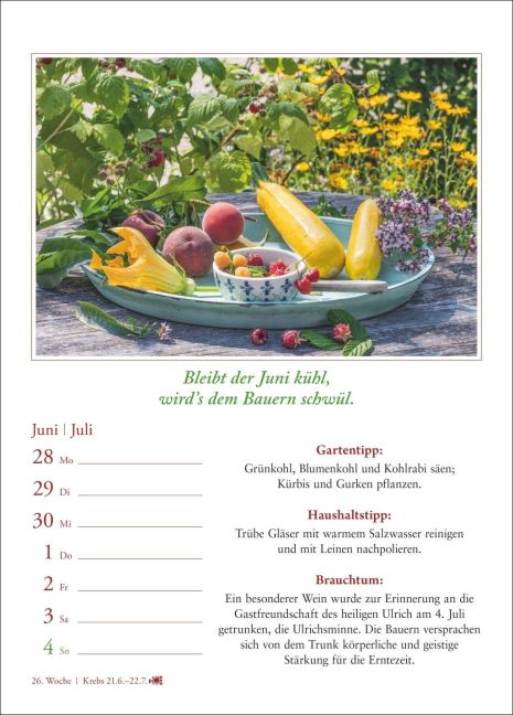 InsideView 6
