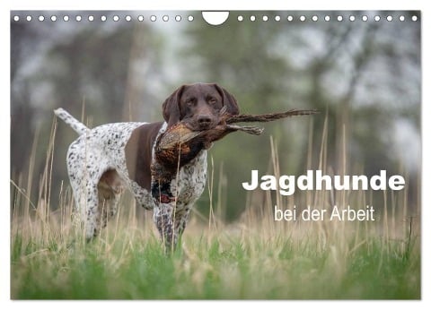 Jagdhunde bei der Arbeit (Wandkalender 2025 DIN A4 quer), CALVENDO Monatskalender - Tanja Brandt