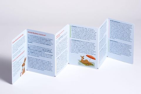 InsideView 2