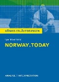 Cover-Bild zum Titel 'norway.today. Königs Erläuterungen' von 'Igor Bauersima'
