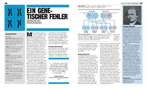 InsideView 5