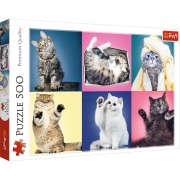 Cover-Bild zum Titel 'Puzzles - "500" - Katzen' von ''