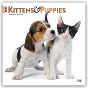Cover-Bild zum Titel 'Kittens & Puppies - Kätzchen & Welpen 2027 - 16-Monatskalender' von 'Browntrout Publishers'