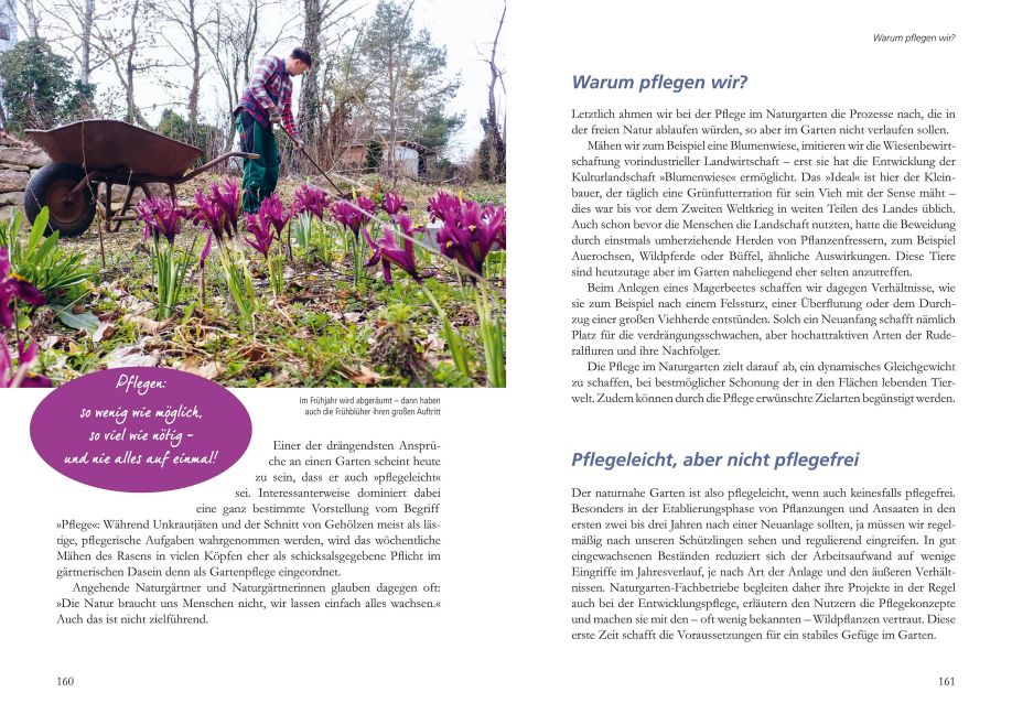 InsideView 5