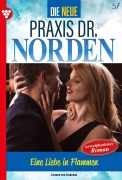 Cover-Bild zum Titel 'Eine Liebe in Flammen' von 'Carmen von Lindenau'