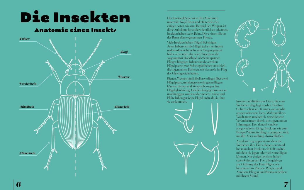 InsideView 3