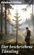 Cover-Bild zum Titel 'Der beschriebene Tännling' von 'Adalbert Stifter'
