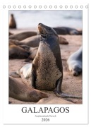 Galapagos - Atemberaubende Tierwelt (Tischkalender 2026 DIN A5 hoch), CALVENDO Monatskalender - Jeanette Dobrindt