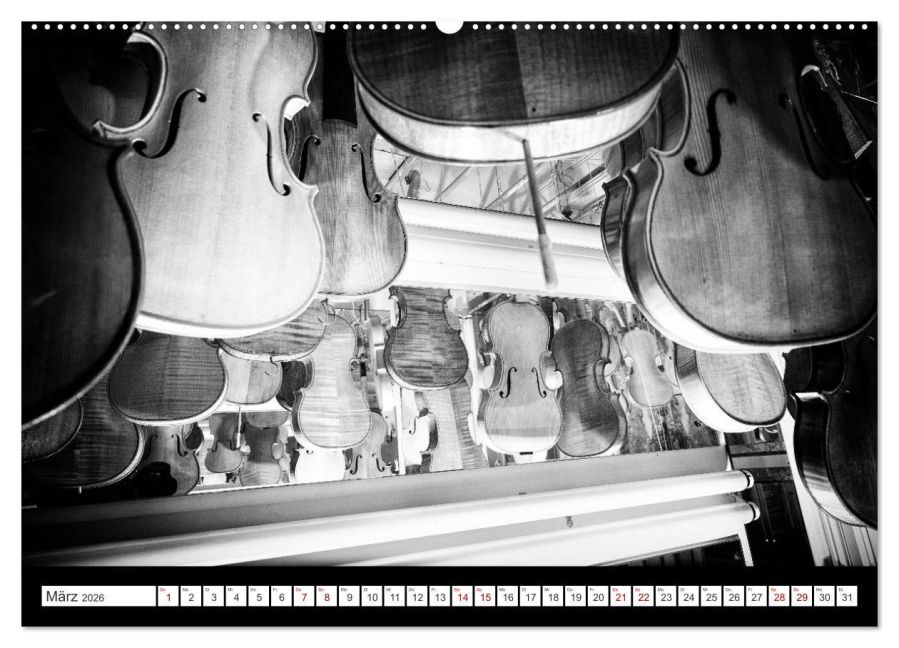 InsideView 8