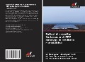 Cover-Bild zum Titel 'Fattori di crescita: Carburante di PRP autologo in medicina riproduttiva' von 'M. Abdelgafoor Abdelgadir Salih, M. Omer Mohammed Hussein, M. Nouraldein Mohammed Hamad'