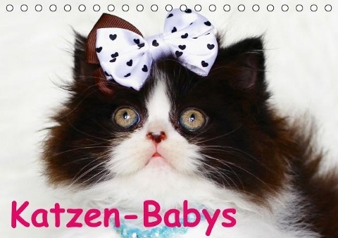 Katzen-Babys (Tischkalender immerwährend DIN A5 quer) - Elisabeth Stanzer