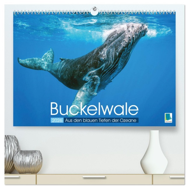 Buckelwale: Aus den blauen Tiefen der Ozeane (hochwertiger Premium Wandkalender 2026 DIN A2 quer), Kunstdruck in Hochglanz - Calvendo Calvendo