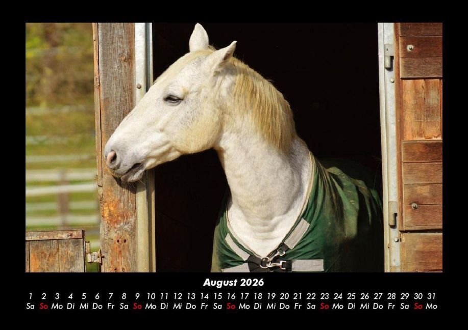InsideView 12