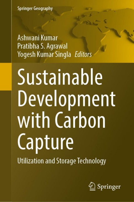 Sustainable Development with Carbon Capture - 