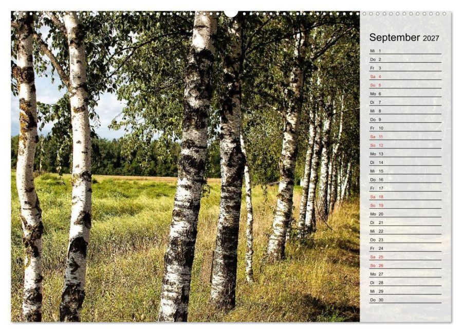 InsideView 14