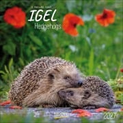 Cover-Bild zum Titel 'Igel 2027' von ''