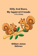 Cover-Bild zum Titel 'Billy and Hans, My Squirrel Friends' von 'William James Stillman'
