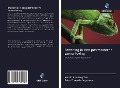 Cover-Bild zum Titel 'Branding in een postmoderne samenleving' von 'Martin Hvidberg Yde, Peter Edwards Jørgensen'