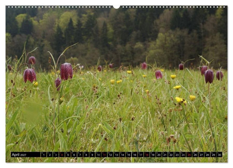 InsideView 8
