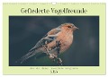 Gefiederte Vogelfreunde (Wandkalender 2025 DIN A3 quer), CALVENDO Monatskalender - Simone Sperber