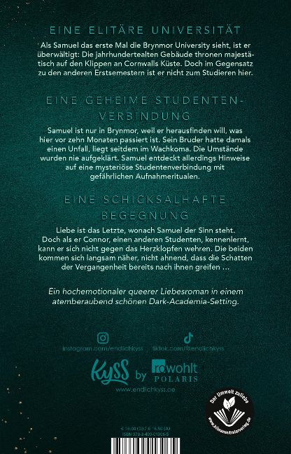 InsideView 4