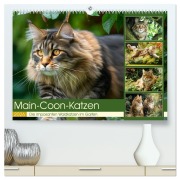 Main-Coon-Katzen. Die imposanten Waldkatzen im Garten (hochwertiger Premium Wandkalender 2026 DIN A2 quer), Kunstdruck in Hochglanz - Rose Hurley