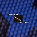 Cover-Bild zum Titel 'White Ladder' von 'David Gray'
