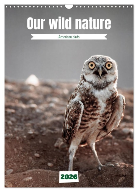 Our wild nature, American birds (Wall Calendar 2026 DIN A3 portrait), CALVENDO 12 Month Wall Calendar - Alain Gaymard