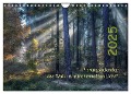 Planungskalender Märchenwald 2025 (Wandkalender 2025 DIN A4 quer), CALVENDO Monatskalender - Hans Zitzler