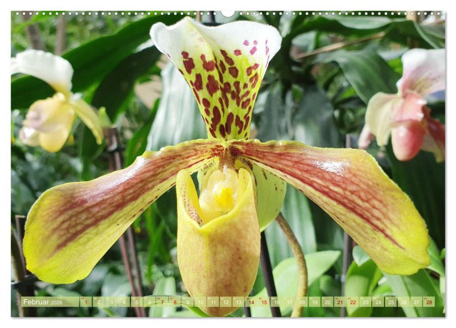 InsideView 7