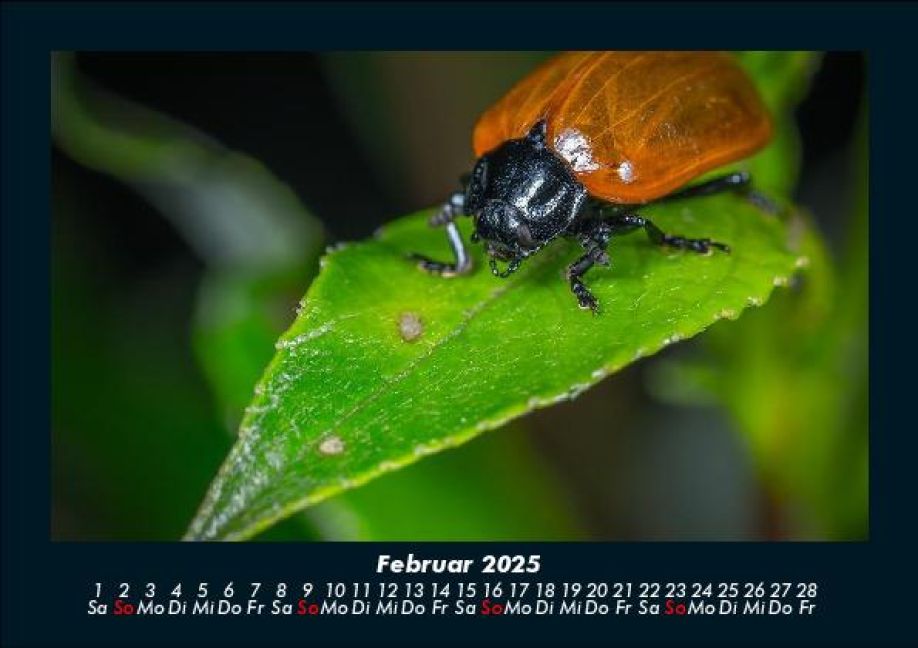 InsideView 6