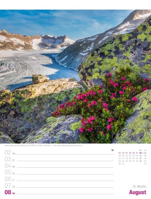 InsideView 35
