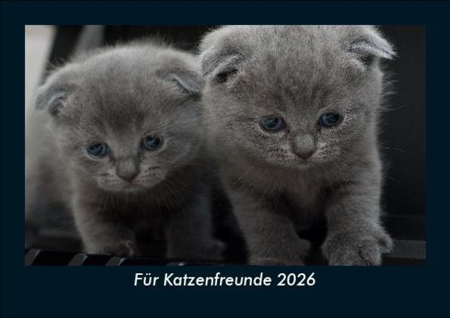 Für Katzenfreunde 2026 Fotokalender DIN A5 - Tobias Becker