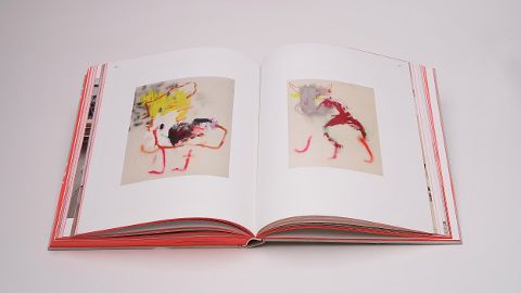 InsideView 11