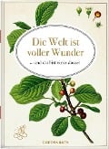 Die Welt ist voller Wunder - 