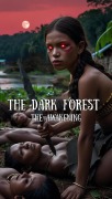 Cover-Bild zum Titel 'The dark forest the awakening luxury Edition' von 'Dany Lorettu'