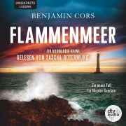 Cover-Bild zum Titel 'Flammenmeer' von 'Benjamin Cors'