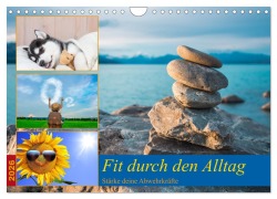 Cover-Bild zum Titel 'Fit durch den Alltag - stärke deine Abwehrkräfte (Wandkalender 2026 DIN A4 quer), CALVENDO Monatskalender' von 'Susan Michel'