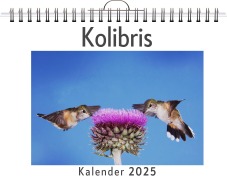 Cover-Bild zum Titel 'Kolibris' von 'Lena Meier'