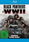 Cover-Bild zum Titel 'Black Panthers of WWII - Amerikas wahre Helden' von 'Michael Phillip Edwards, Christopher Cano, Mikel Shane Prather, Chris Ridenhour'