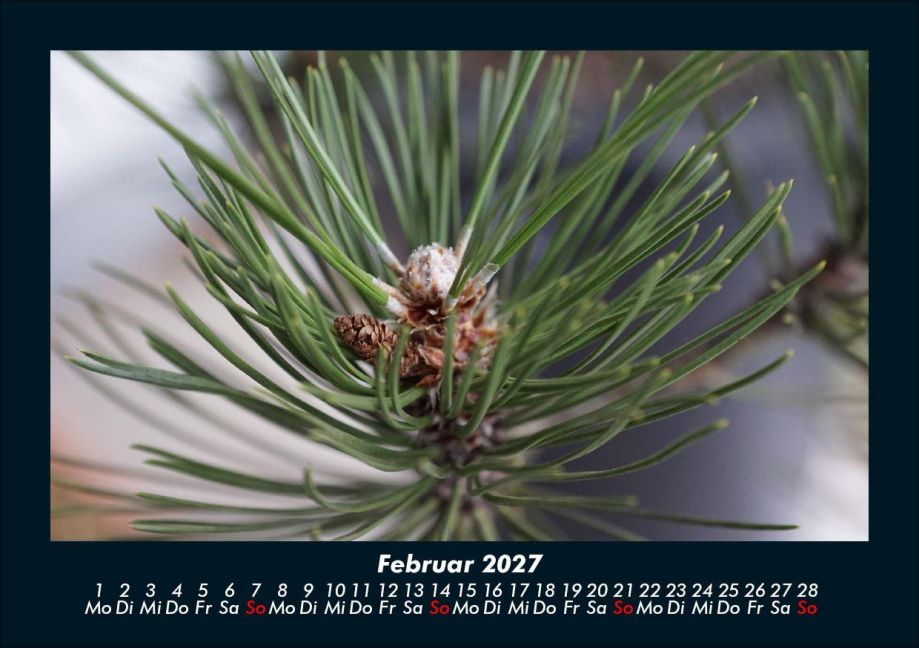 InsideView 6