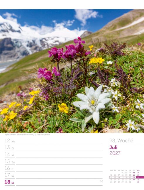 InsideView 32