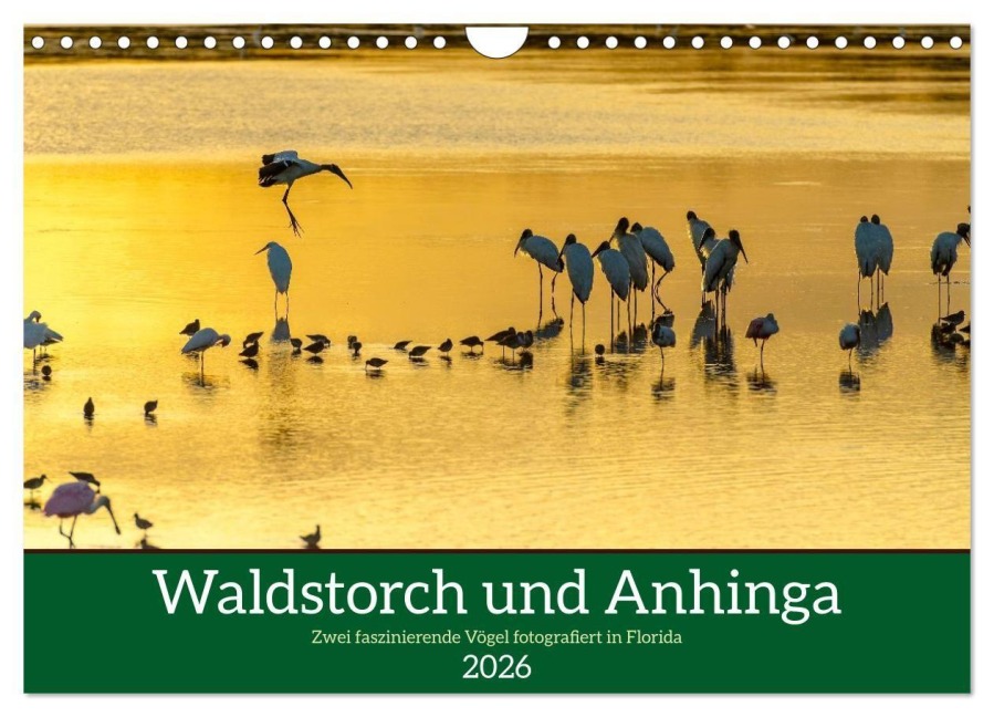 Waldstorch und Anhinga (Wandkalender 2026 DIN A4 quer), CALVENDO Monatskalender - Iris Editha Schacht