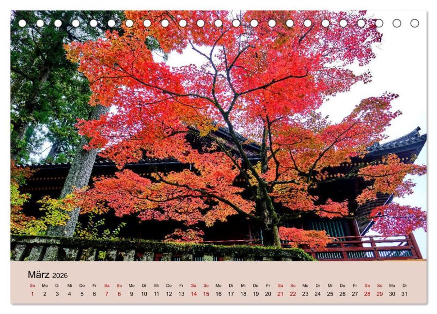 InsideView 8
