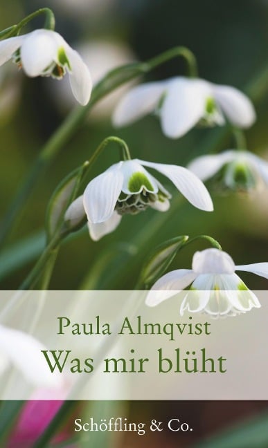 Was mir blüht - Paula Almqvist