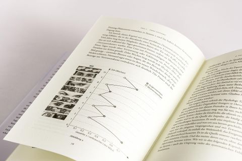 InsideView 6